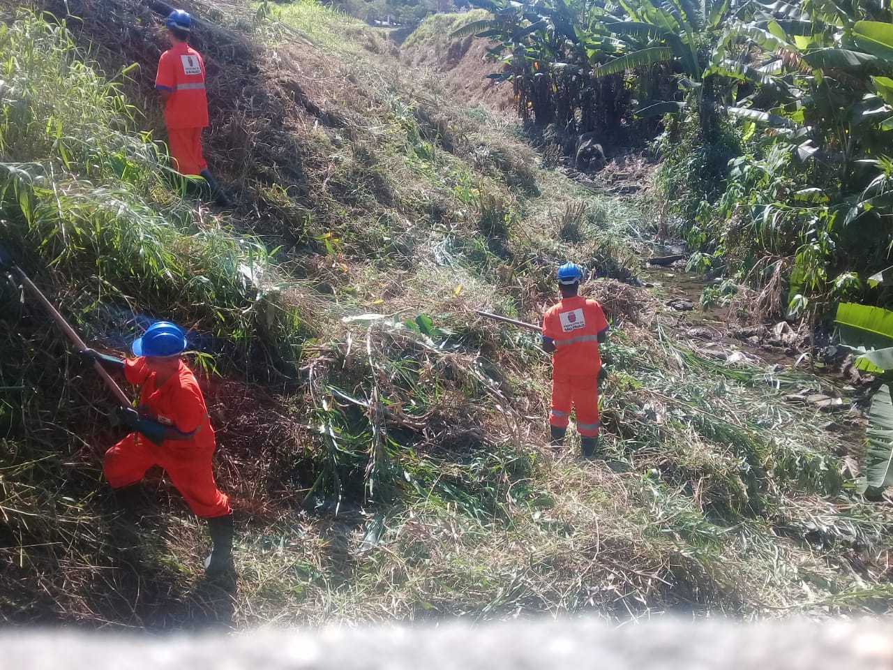 Três trabalhadores, com macacão laranja, cortam o mato no vale do riacho, na avenida A´delia Chohfi.